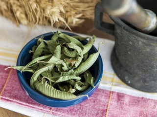 Limonlu Melisa Çayı Kullanımı Limonlu Melisa Çayı Kullanımı